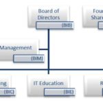 Organizational Structure Divisions