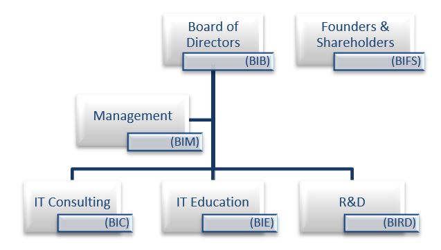 Organizational Structure Divisions